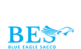 Blue Eagle Sacco